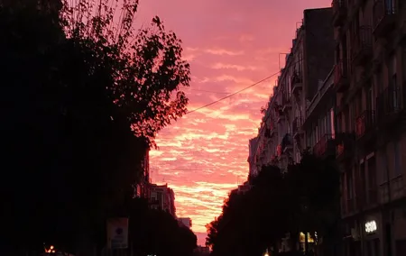 Mystical Valencia Secrets of the City and Tarot Insights