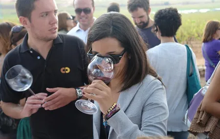 From Valencia: Vineyard Tour with Local Wine Tasting & Appetizer