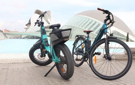 Valencia all in one: beaches, old town & city arts by E-bike