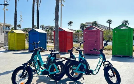 E-bike Tour: Beaches, & City of Arts and Sciences (From €30,00)