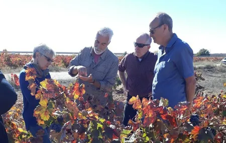 Private Wineries Tour from Valencia (morning tour)