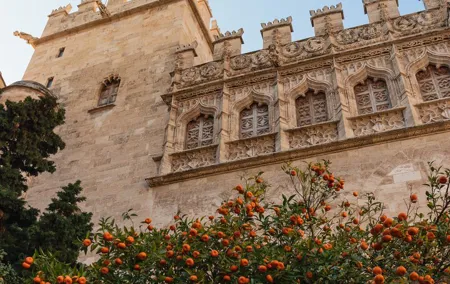 Private 3 hours Walking Tour in Valencia City
