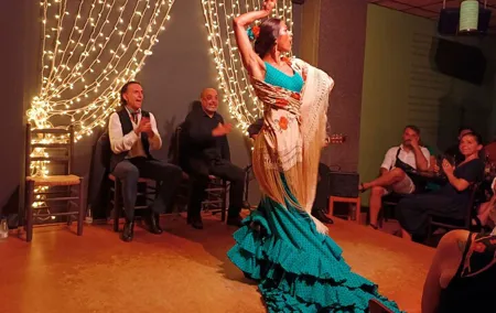Tapas Dinner and Flamenco Show in Valencia