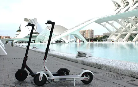 Electric Scooter Rental
