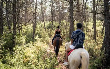 Horseback riding and wine tour (private tour)