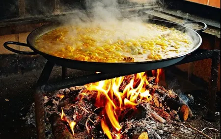 Valencian paella experience and visit to a private winery