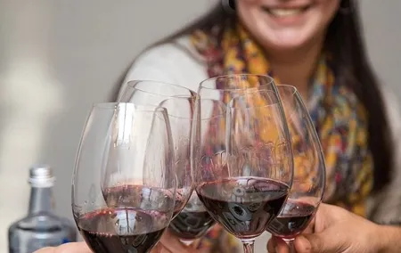 Valencia Wine Tasting and Tapas Experience