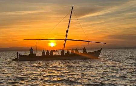 From Valencia: Albufera Boat Ride & Food (Paella) Included