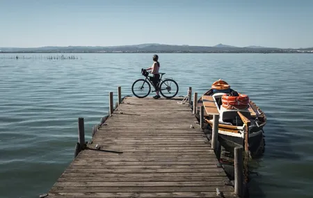 Valencia: Road to La Albufera Private Bike Tour