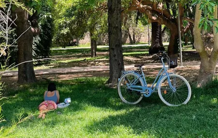 Three Parks Tour | Private Ride by Bike, E-Bike, E-Step or Segway