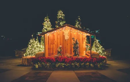 Nativity Scene Christmas Special Tour