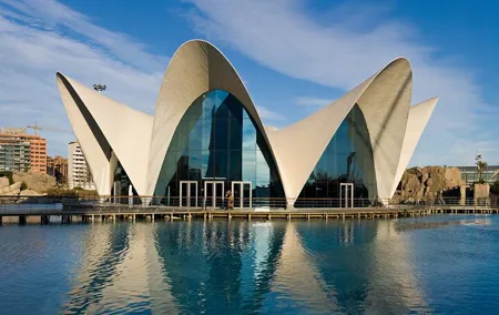 Valencia City Center Walking Tour