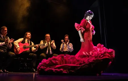 Authentic Flamenco Show at the Teatro Flamenco Granada