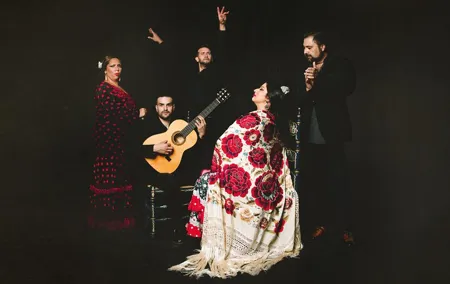 Traditional Flamenco Show at Tablao Casa Ana