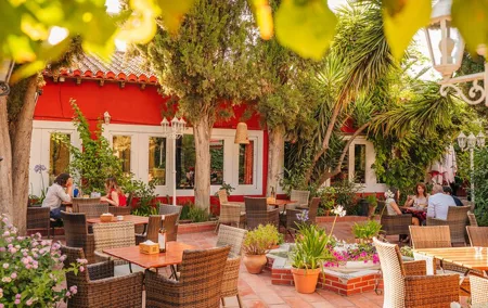 Dinner on a terrace in the Albayzin and a live flamenco show