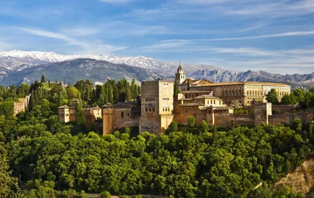 Alhambra Skip the Line Premium Guided Tour