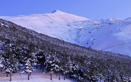 Sierra Nevada Private Tour: Day Trip from Granada