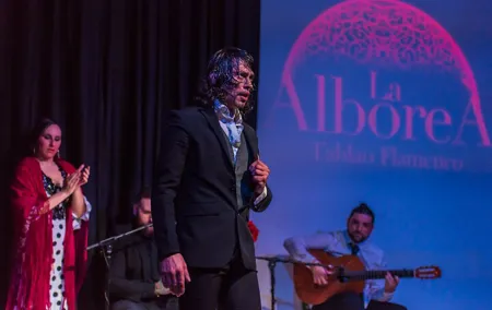 Flamenco Show in the Center of Granada