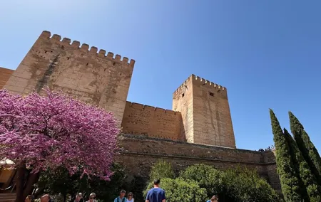 Alhambra Surroundings Guided Tour
