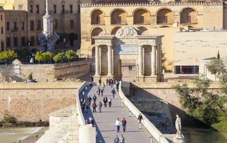 Luxury Cordoba guided tour from Granada finishing in Seville with Mercedes S-350