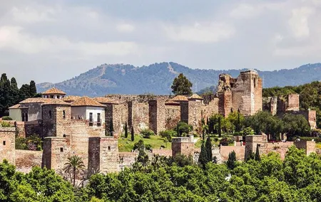 Malaga private tours and excursions from Granada for up to 8 persons