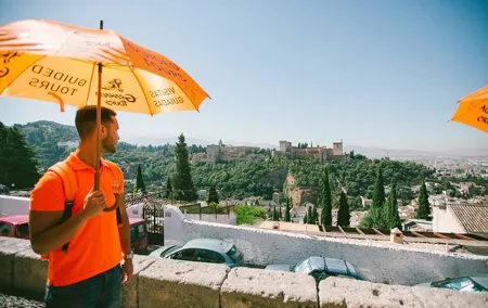 Private Walking Tour in Granada