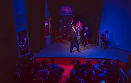 Skip the Line: Authentic Flamenco in Granada Ticket