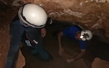 Caving in Granada: Cogollos cave