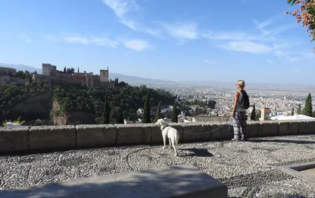 Albaicin guided tour with dogs
