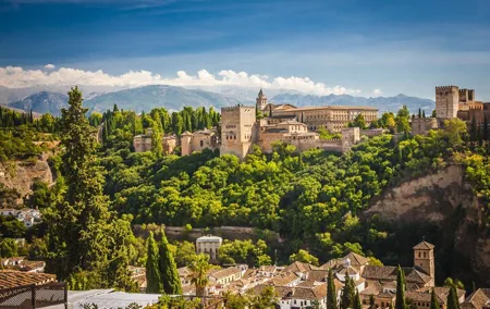 Complete Private Tour of Alhambra with Nasrid Palaces