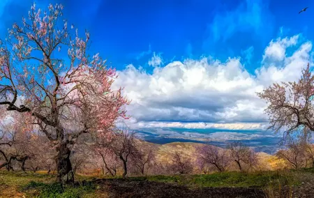 Private Day Trip to Sierra Nevada from Granada with a local