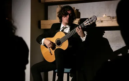 Ticket for Flamenco and Classical Guitar Recital