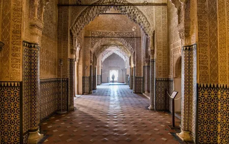 Granada Day Trip with Alhambra and Albaicin Tour from Seville
