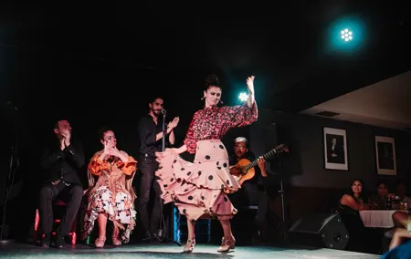Authentic Flamenco Show with Tapas & Wine Guided Tour