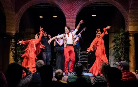 Seville: Puro Flamenco Show - Museo del Baile Flamenco