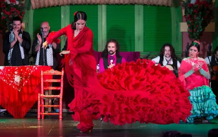 Flamenco Show and Tapas Dinner