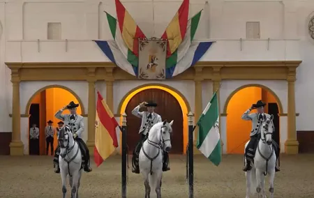 Jerez and Cadiz, with Horse Ballet and Sherry Tasting Full-day from Seville