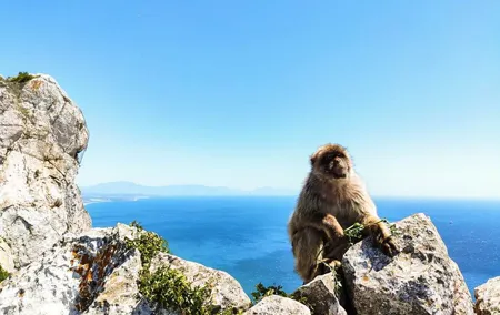 Premium private trip to Gibraltar from Seville (multiple options)