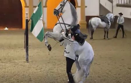 Jerez & Cadiz Winery with Tasting & Opt Horse Show from Seville