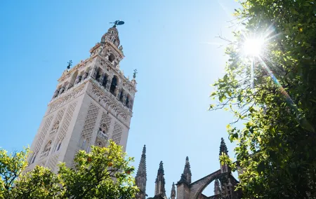 Small-Group tour of Seville Cathedral & Giralda Tower