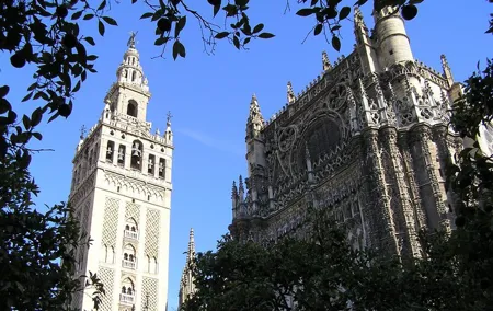 Private Tour: Seville City Tour (Cathedral, Royal Alcázar and Santa Cruz)