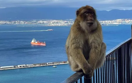 Gibraltar Private Daytrip From Sevilla