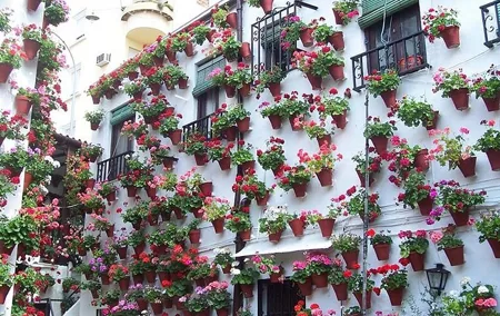 Cordoba private tour from Seville including the great Mosque for up to 8 persons