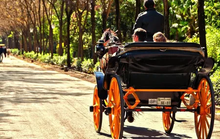 Horse-Drawn Carriage Ride through Seville