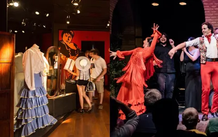 Combined ticket: Puro Flamenco Show + Flamenco Museum visit