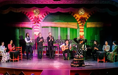 Seville Flamenco Show with Dinner and Flamenco Costume Museum