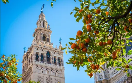 Seville: Cathedral & Giralda Guided Tour with Tickets