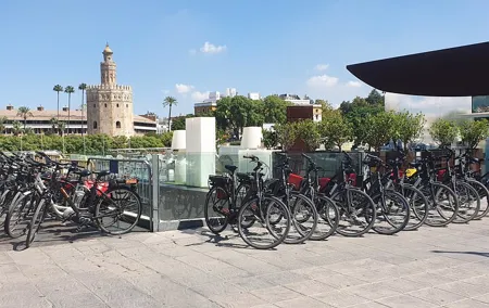 Guided Electric Bicycle Tour of Seville