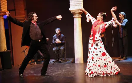 Flamenco Show "Museo de Baile Flamenco"