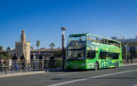 Tour in Seville Tourist Bus, Panoramic Cruise and Walking Tour